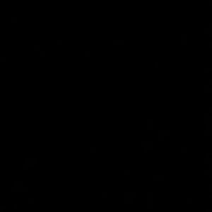 Meet your Posher, Aleena